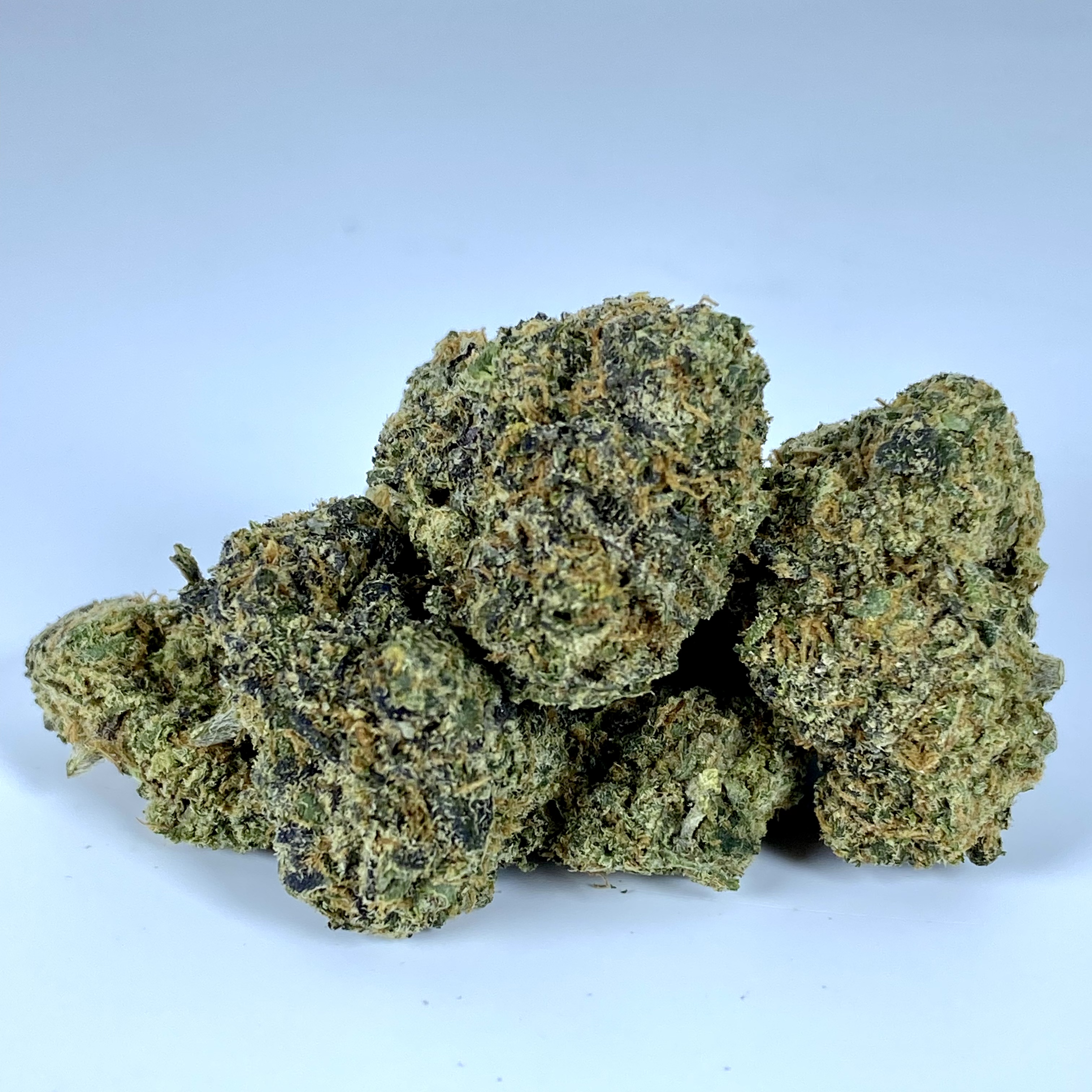 green gorilla md green gorilla md