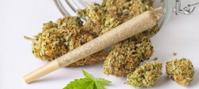 green gorilla md green gorilla md