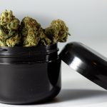 cannabis pre roll in maryland