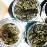 Guide to Finding the Best Physical and Online Weed Shops